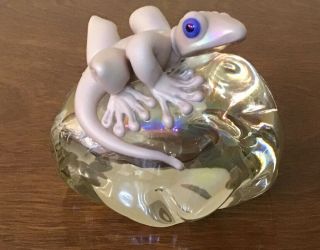Stuart Abelman Art Glass Big Frog Paperweight Grecko Very Rare Signed 1999 A.  P.