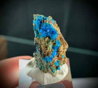 Rare Blue Liroconite Crystals Tl: Wheal Gorland,  St Day,  Cornwall,  England,  Uk