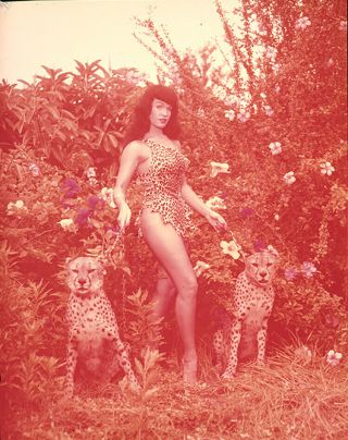 Rare Bettie Page 1954 4x5 Camera Transparency Bunny Yeager Cheetahs
