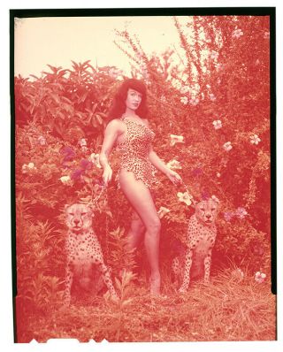 RARE Bettie Page 1954 4X5 Camera Transparency Bunny Yeager Cheetahs 2