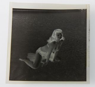 Bettie Page Bikini Goddess 1954 Camera Negative Photograph Bunny Yeager Rare NR 3