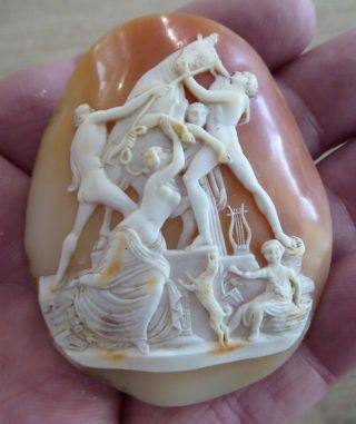 Large Rare Quality Antique Carved Cameo Shell For A Brooch