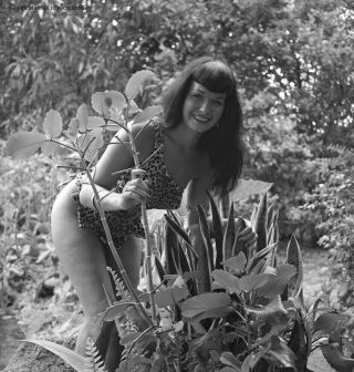 Bettie Page Sheena Jungle Girl 1954 Camera Negative Photograph Bunny Yeager Rare