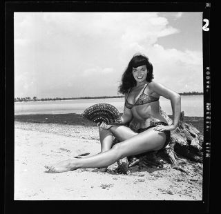 RARE Bettie Page 1954 Camera Negative Bunny Yeager Sultry Fan Pin Up 2