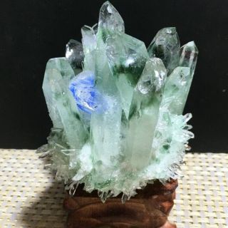 Rare Natural Green Ghost Phantom Quartz Crystal Cluster Specimen Y1100