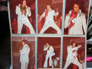 285 Rare Photos Of Elvis Presley In Concert By Tom Loomis