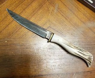 Vtg Rare Olsen Knife Co Solingen Germany Stag Handle Fixed Blade Hunting Knife