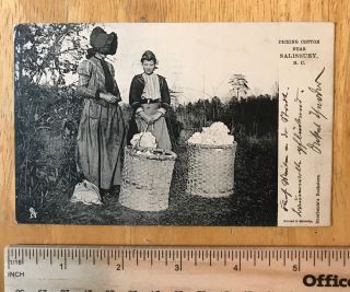 Vtg 1908 Women Picking Cotton Baskets Salisbury North Carolina Nc Rare Postcard