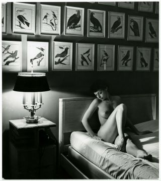 Rare 1960s Vintage Nude Photo Andre De Dienes Perfect Puffy Pinup Shirley Levitt