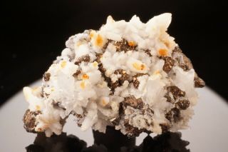 Rare Colusite Crystal With Quartz Butte,  Montana - Ex.  Mushlitz