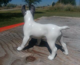 1920 ' s Royal Copenhagen Porcelain Boston Terrier Dog Figurine 1457 Denmark RARE 3