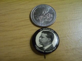 Vintage Rare President Theodore Roosevelt Pin Pinback Button Political