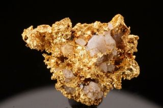 Rare Locale Native Gold With Quartz Wickenberg,  Arizona