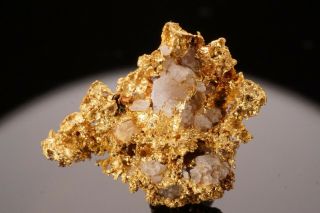 RARE LOCALE Native Gold with Quartz WICKENBERG,  ARIZONA 3