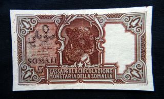 1951 Somalia Afis Italy Rare Banknote 5 Somali Leopard Vf,