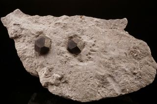 Rare Locale Hauerite Crystals On Matrix Jeziorko Mine,  Poland - Ex.  Lemanski