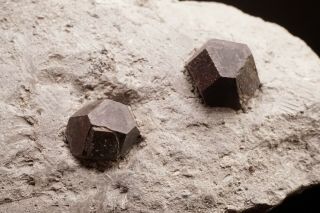 RARE LOCALE Hauerite Crystals on Matrix JEZIORKO MINE,  POLAND - Ex.  Lemanski 2