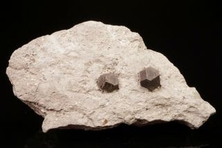 RARE LOCALE Hauerite Crystals on Matrix JEZIORKO MINE,  POLAND - Ex.  Lemanski 3
