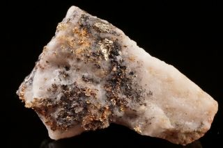 Old Rare Locale Native Gold With Galena & Pyrite Montgomery Co. ,  Maryland