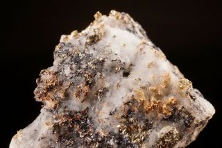 OLD RARE LOCALE Native Gold with Galena & Pyrite MONTGOMERY CO. ,  MARYLAND 3