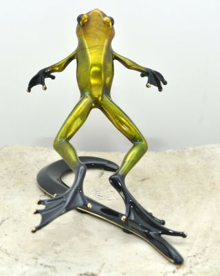 Breeze Rare Show Frog Bronze Frog By The Frogman Tim Cotterill
