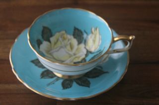 Rare Paragon Large White Cabbage Rose Turquoise Blue Teacup Tea Cup Saucer