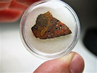 Rare Iron Santa Catharina Oxide Meteorite Brazil 1.  936 Gms
