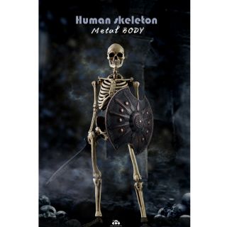 Coomodel Bs011 1/6 Scale The Human Skeleton Diecast Alloy Movable Action Figure