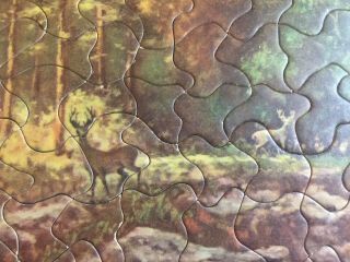 Rare TUCO Vintage puzzle DEEP IN DEER COUNTRY complete 3