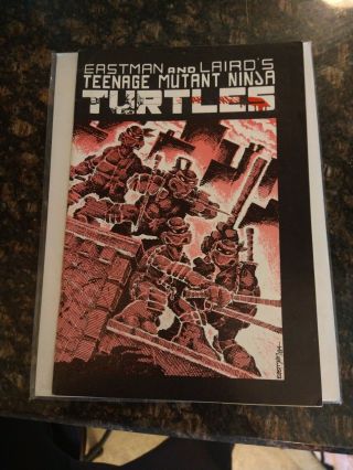 Rare Teenage Mutant Ninja Turtles 1 Mirage1984 3rd Printing