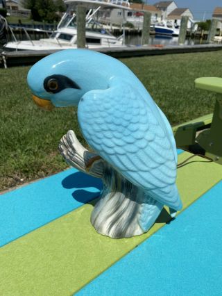 Very Rare Vintage 1950’s Leland Claes Blue Parrot Tv Lamp In Conditon