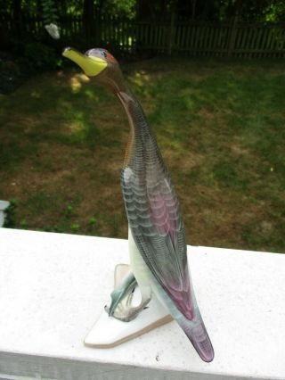 Rare Herend,  9.  5 " Fish Master Porcelain Bird Figurine,  Natural,