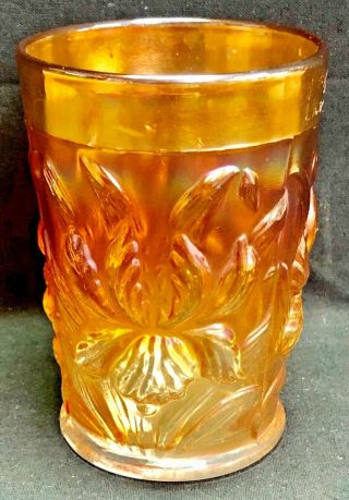Vintage Dugan Heavy Iris Stunning Radium Marigold Carnival Glass Tumbler Rare