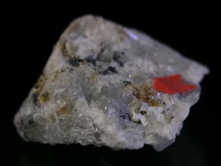 Ferrokentbrooksite Rare Mineral Crystal Specimen Mont Saint Hilaire,  Canada