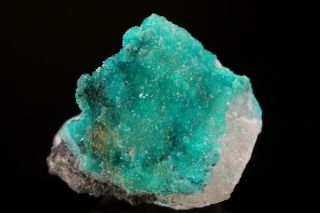 Rare Crystalline Turquoise On Quartz Bishop Mine,  Virginia
