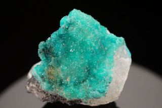 RARE Crystalline Turquoise on Quartz BISHOP MINE,  VIRGINIA 2