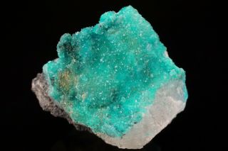 RARE Crystalline Turquoise on Quartz BISHOP MINE,  VIRGINIA 3