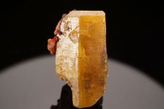 Rare Historic Mimetite - N Clinomimetite Crystal Johanngeorgenstadt,  Germany