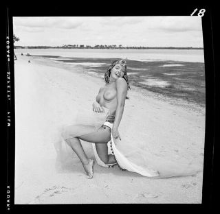 RARE Bettie Page 1954 Camera Negative Bunny Yeager Topless Belly Dancer 2