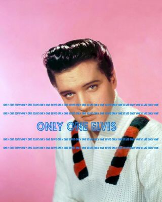 1958 Elvis Presley In The Movies " King Creole " Photo Rare Studio Pose 10