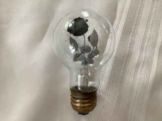 Rare? VINTAGE Aerolux Bulb Light Electric Flower Yellow Rose 2