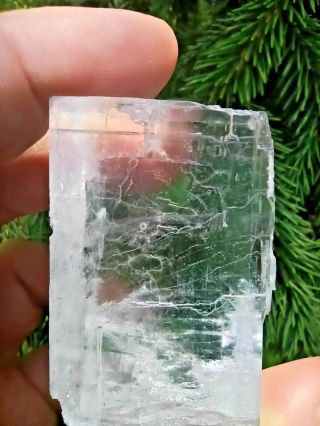 Rare Museum quality clear halite crystal with 2 ancient water bubbles inside 3