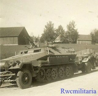 Rare German Sdkfz.  251 Schützenpanzerwagen Halftracks Lined Up On Road