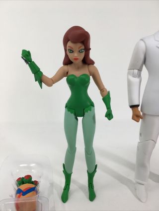 DC Collectibles BTAS Batman: The Animated Series Two Face & Poison Ivy Set Of 2 3