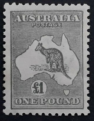 Rare 1924 Australia £1.  00 Grey Kangaroo Stamp 3rd Wmk Die 2b Muh