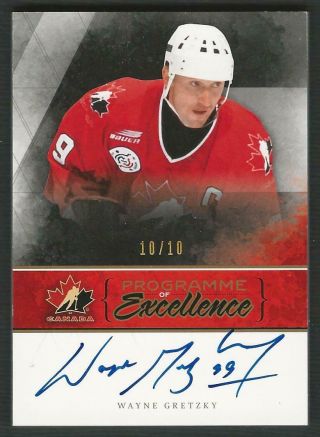 2010 - 11 Ud The Cup Wayne Gretzky Programme Of Excellence /10 Pw - Wg Rare