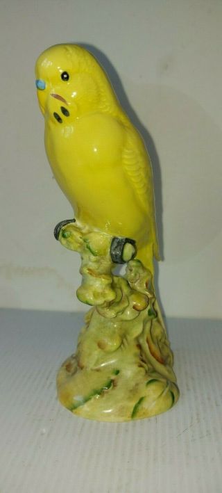 Very Rare Vintage Beswick Bird : Budgeriar No.  1271 B In Yellow