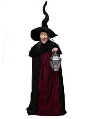 Spirit Halloween Witch Of Stolen Souls Prop Gemmy Rare Euc