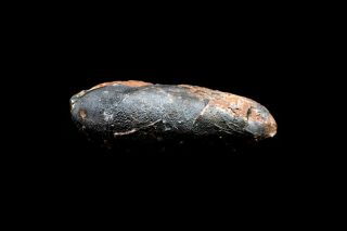 [GEL01049] Rare Museum Grade Small Theropod Dinosaur Egg Fossil 3
