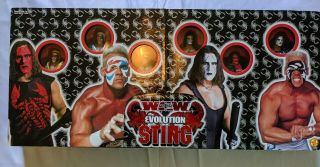 Toy Biz Wcw The Evolution Of Sting 6 Pack Action Figure Wrestling Wwf Wwe